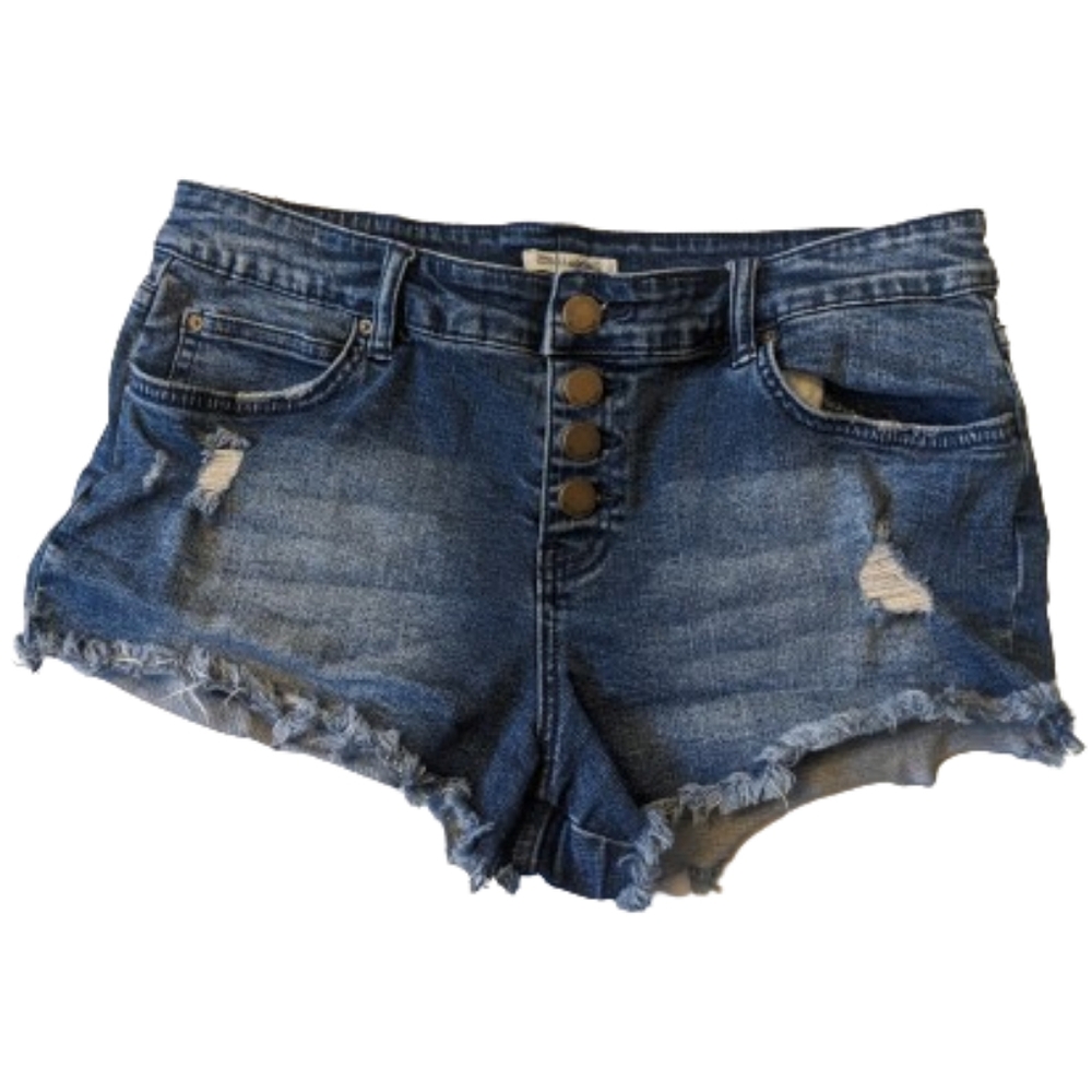 Billabong Button Fly Denim Distressed Shorts - image 1